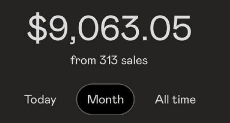 Client Results - $9,063.05 from 313 sales